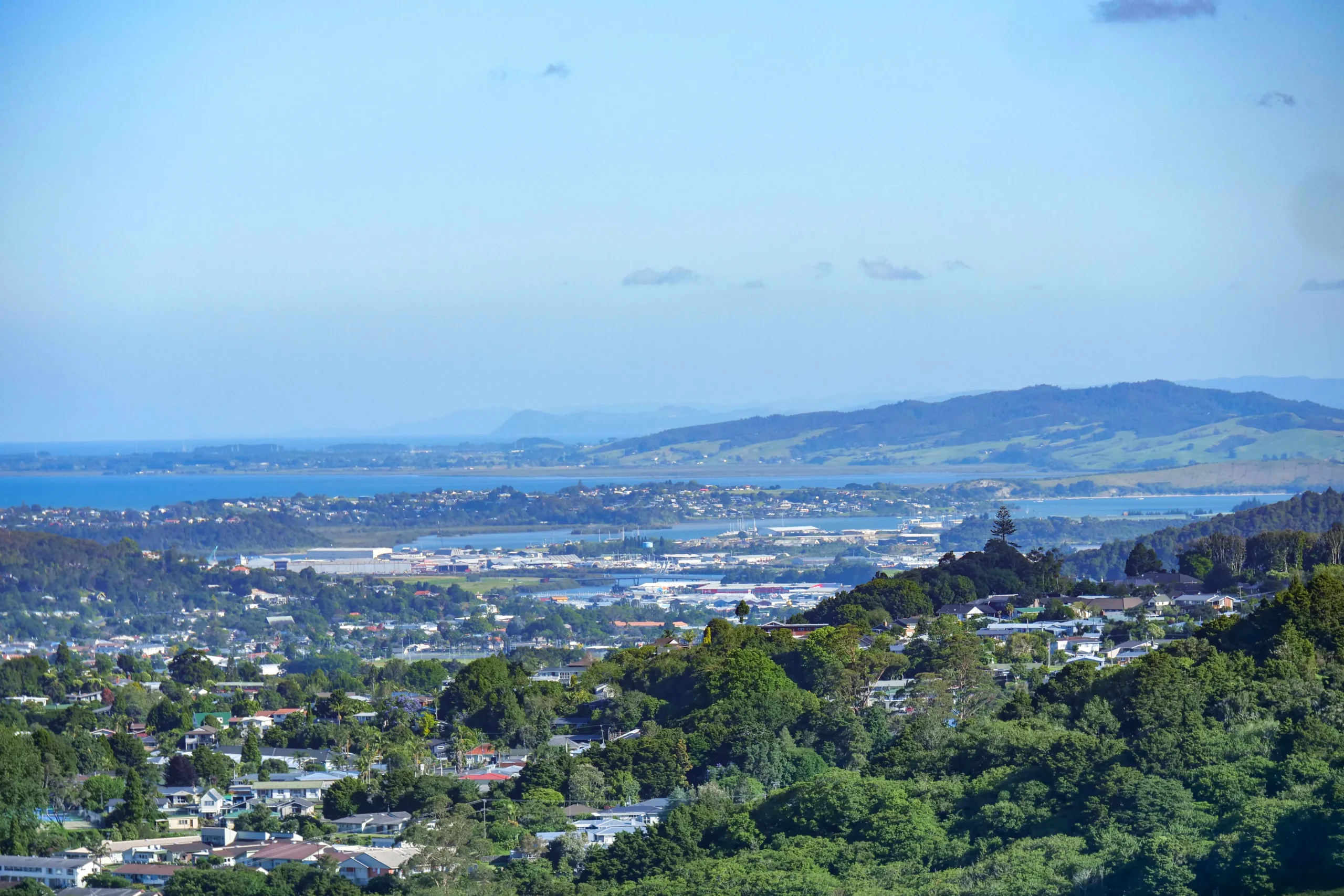 Reliable commercial hygiene business